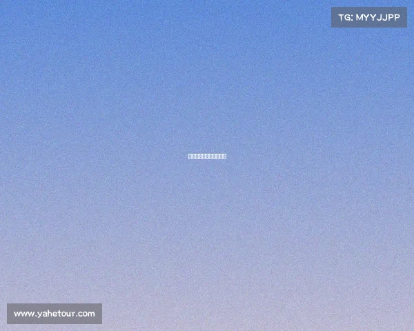 如何报电子竞技运动员证