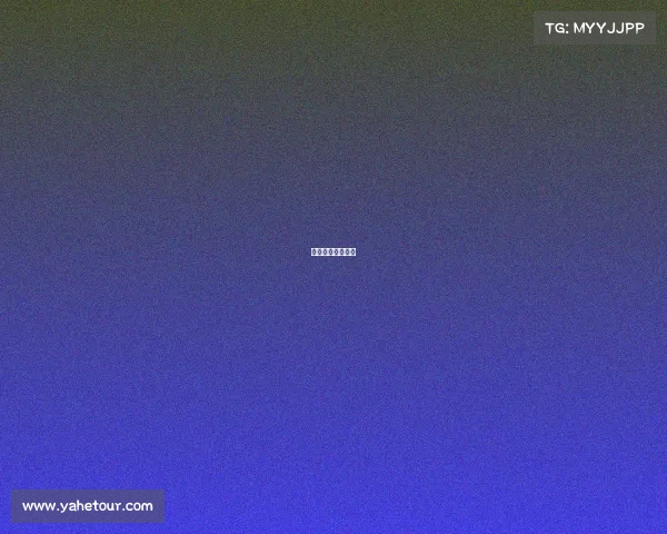 电子竞技细节描述